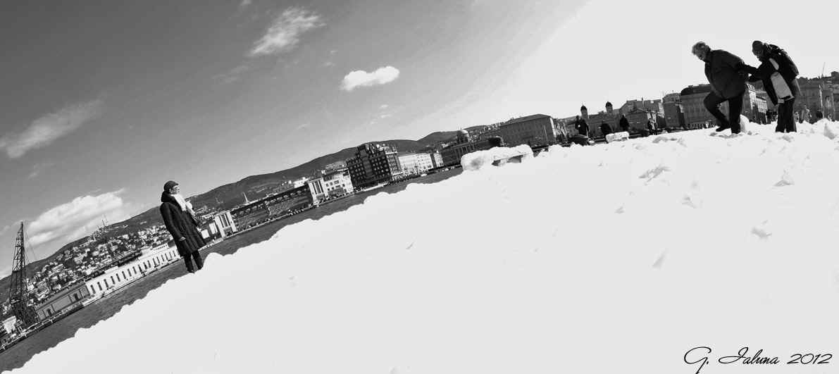 P. Ialuna Trieste Feb 2012.jpg (110999 byte)